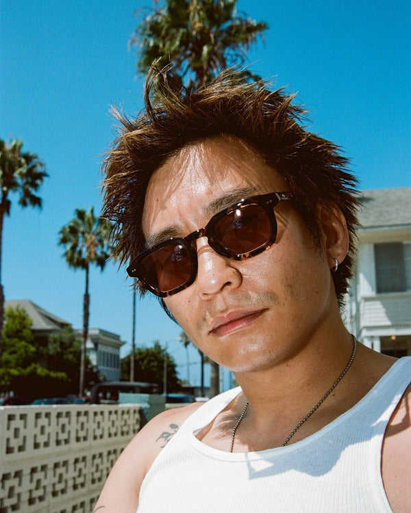 The No Wave / Desert Tortoise & Polarised Plum Lens - Shade Files